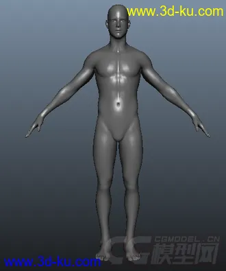 3D打印模型基础人体的图片
