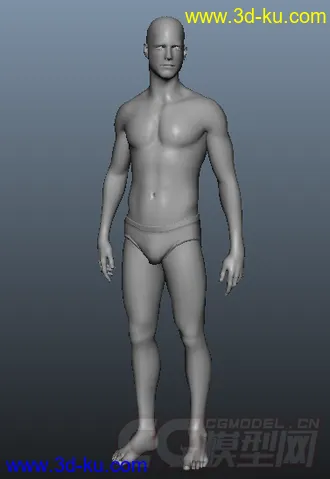 3D打印模型基础男人体的图片