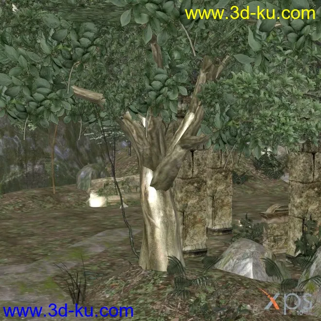 DMC4 Forest模型的图片1