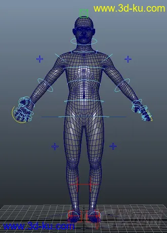 3D打印模型写实  男人体的图片