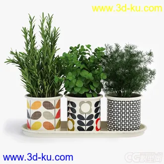 盆栽草模型的图片