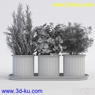 盆栽草模型的图片
