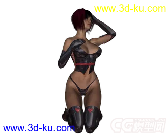 3D打印模型16500-Nightfever Hair and 19327 Lilith 6的图片