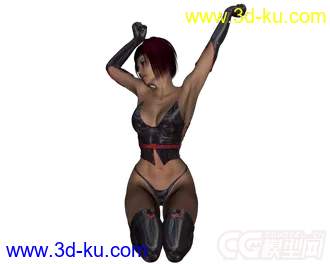 3D打印模型16500-Nightfever Hair and 19327 Lilith 6的图片