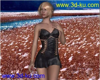 3D打印模型DarkestNight_gen(服装)的图片