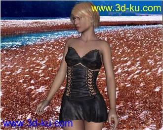3D打印模型DarkestNight_gen(服装)的图片