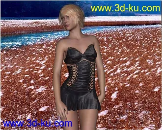 3D打印模型DarkestNight_gen(服装)的图片