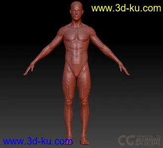 3D打印模型好的男人体的图片