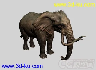 大象 简模 法线贴图模型的图片