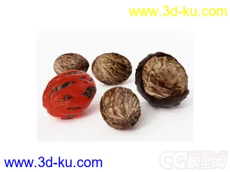 核桃模型下载的图片