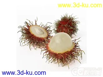 红毛丹水果模型的图片
