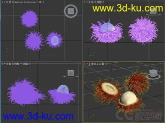 红毛丹水果模型的图片
