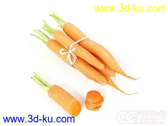 胡萝卜模型的图片