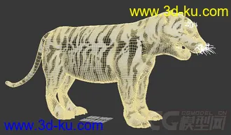 3D打印模型东北虎的图片