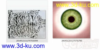 3D打印模型东北虎的图片