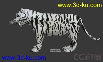3D打印模型东北虎的图片