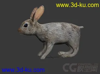 3D打印模型兔子的图片