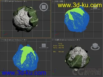花椰菜模型的图片