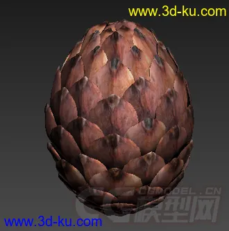 松鼠的食物松子模型的图片