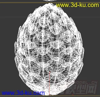 松鼠的食物松子模型的图片