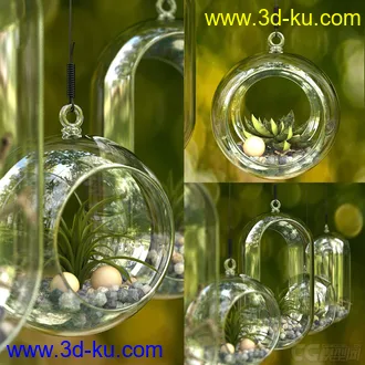 兰草花艺模型的图片