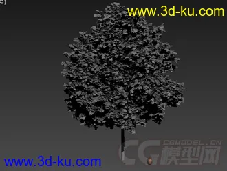 植物树模型的图片