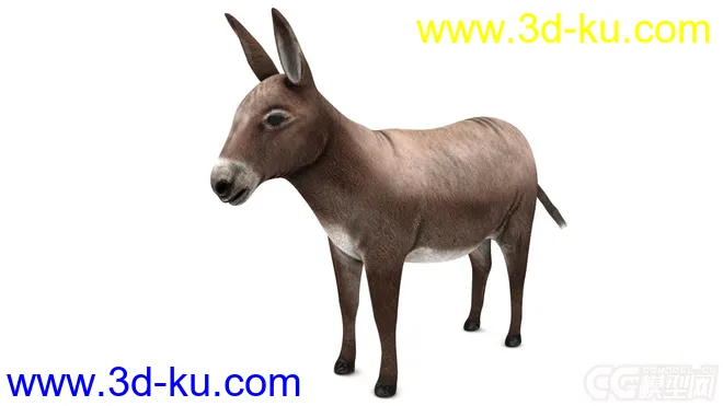 驢子驴子模型的图片1