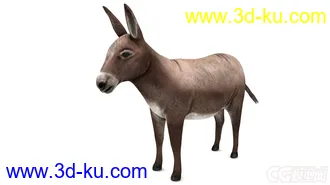 3D打印模型驢子驴子的图片