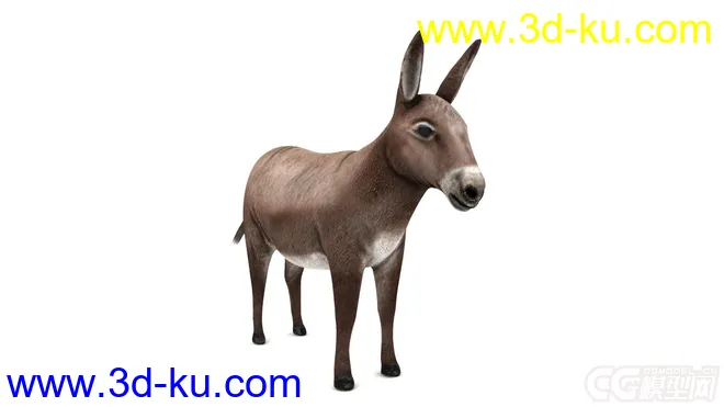 驢子驴子模型的图片2