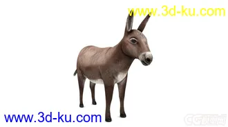 3D打印模型驢子驴子的图片