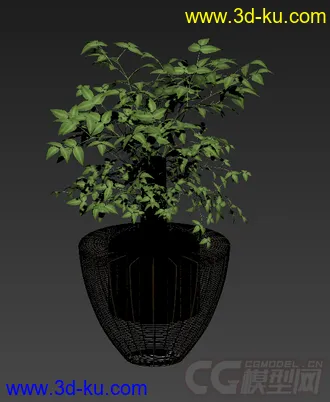 装饰品 树盆栽模型的图片