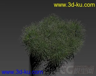 装饰品 草盆栽模型的图片