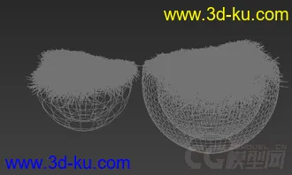 一盆草装饰品模型的图片