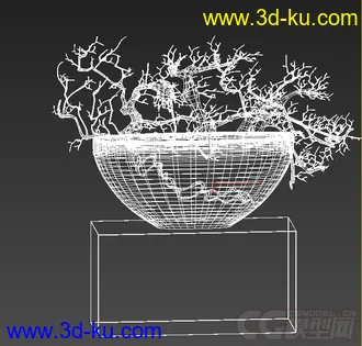 干枯的树枝装饰品模型的图片