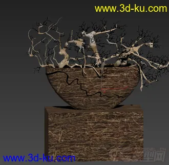 干枯的树枝装饰品模型的图片