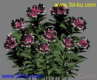 3D打印模型园林花卉（带贴图）的图片
