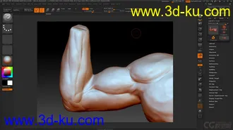 手臂大腿模型的图片