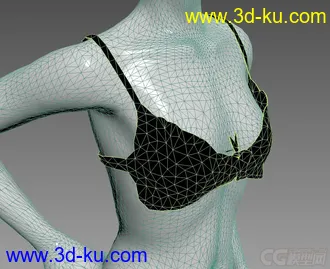 内衣裤的石膏模特模型的图片