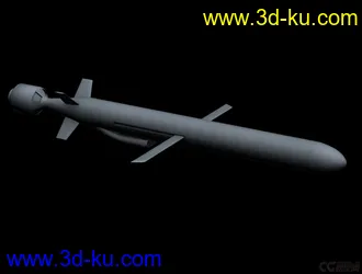 3D打印模型巡航——导弹 烘培过 高清文理的图片