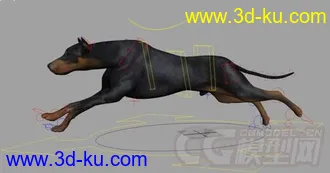 3D打印模型写实狗一只！！的图片