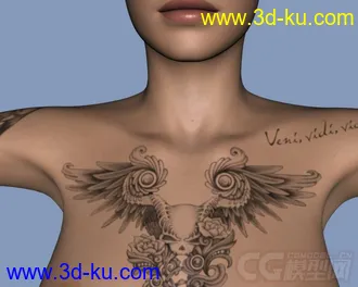 美女模型的图片