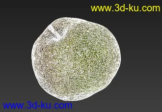 苹果梨啥样模型啥样的图片