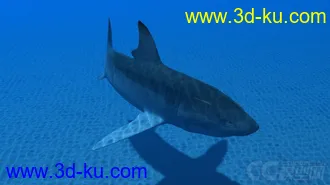 3D打印模型影视动画系列大白鲨的图片