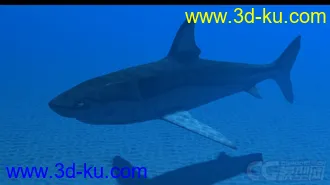3D打印模型影视动画系列大白鲨的图片