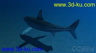 3D打印模型影视动画系列大白鲨的图片