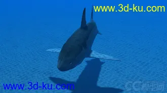 3D打印模型影视动画系列大白鲨的图片