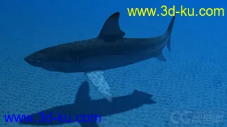 3D打印模型影视动画系列大白鲨的图片
