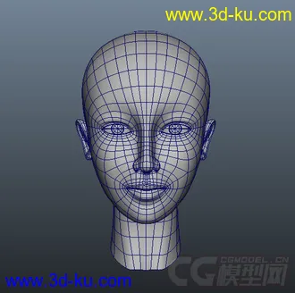3D打印模型女性头部练习的图片