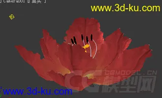 3D打印模型玫瑰花（带花开动画摄影灯光）的图片