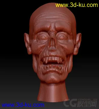 3D打印模型头骨的图片